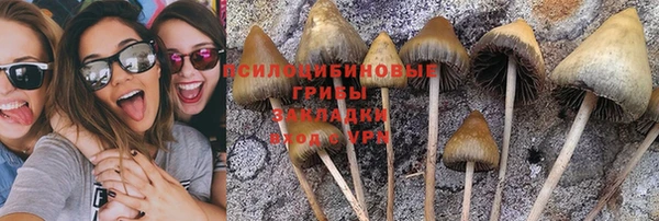 дурь Магадан