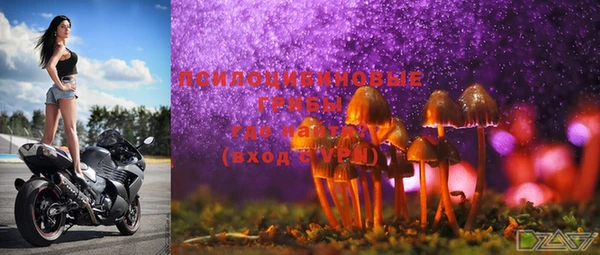 гашиш Магас