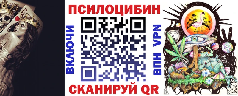 shop телеграм  цена наркотик  Енисейск  Галлюциногенные грибы MAGIC MUSHROOMS 