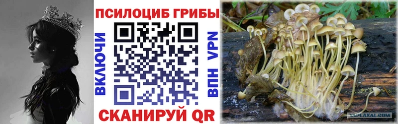 Псилоцибиновые грибы ЛСД Енисейск